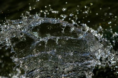 bir karanlık bokeh arka plan üstünde su damlaları