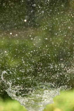 defocused, bulanık su, bokeh doğa damla