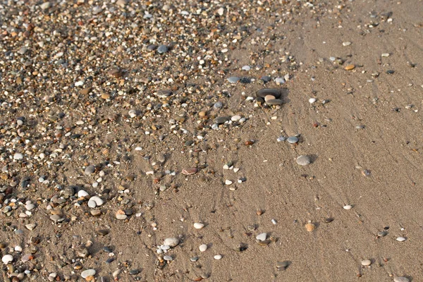 Крупним Планом Галька Пляж Узбережжя — стокове фото