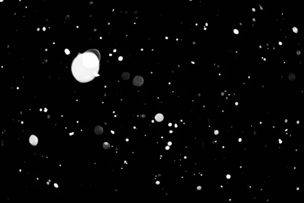 Weiße Punkte Auf Schwarzem Schnee Bokeh Hintergrund — Stockfoto