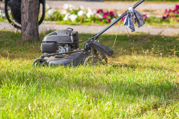 Mowing Green Grass Lawn — Stock Photo, Image