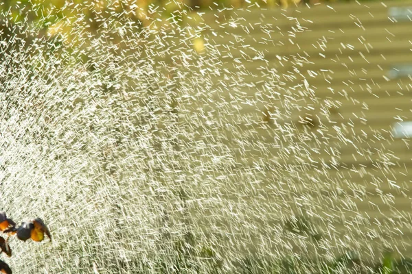 Defocused Splashing Water Blurred Drops Bokeh Nature — Stock Photo, Image