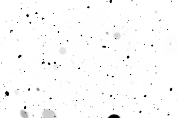 Bulanık Beyaz Bir Arka Plan Üzerinde Siyah Bokeh — Stok fotoğraf