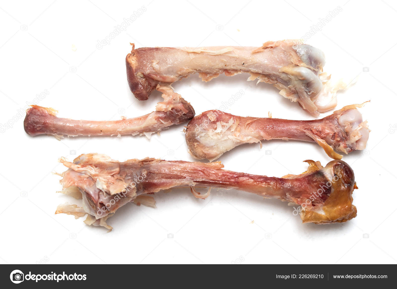 Chicken Bones Eating White Background Stock Photo By C Kzwwsko 226269210