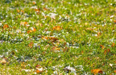 yeşil çim kar arka plan bokeh bulanık