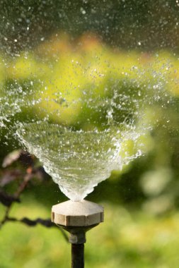 defocused, bulanık su, bokeh doğa damla