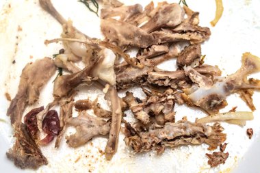 tavuk kemikleri yiyecek yığını