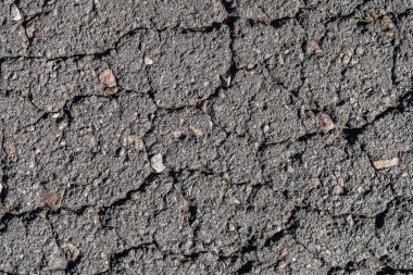 Eski asfalt arka plan ile bir çatlamak