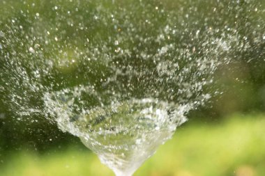 defocused, bulanık su, bokeh doğa damla