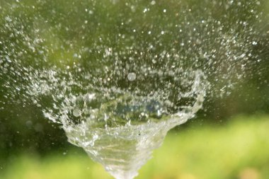 defocused, bulanık su, bokeh doğa damla