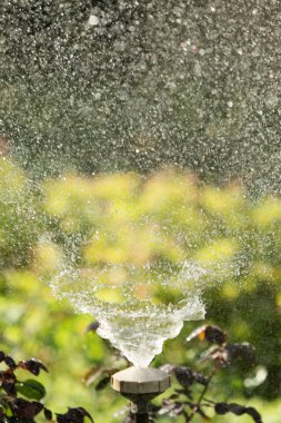 defocused, bulanık su, bokeh doğa damla