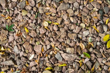 tam kare görünümü yol ezilmiş taş yol