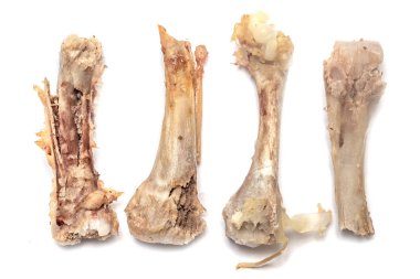 tavuk kemikleri yiyecek yığını