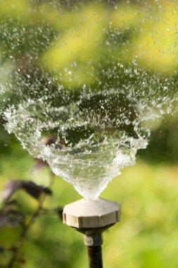 defocused, bulanık su, bokeh doğa damla