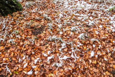 Sonbahar, karda çimen bırakır.