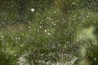 defocused, bulanık su, bokeh doğa damla