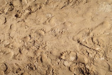 ayak izleri arka plan ile kum