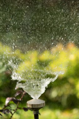 defocused, bulanık su, bokeh doğa damla