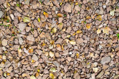 tam kare görünümü yol ezilmiş taş yol