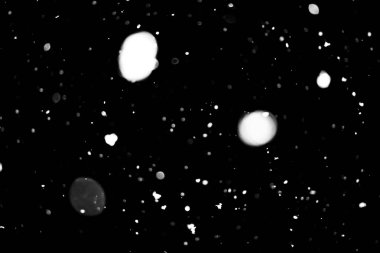 siyah kar bokeh arka plan üzerinde beyaz noktalar