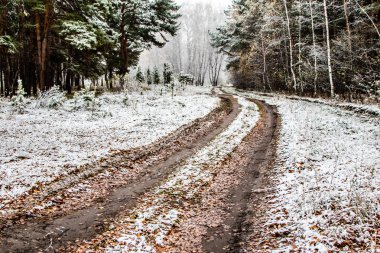 Orman yol kir kar doğa