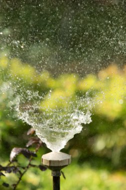 defocused, bulanık su, bokeh doğa damla