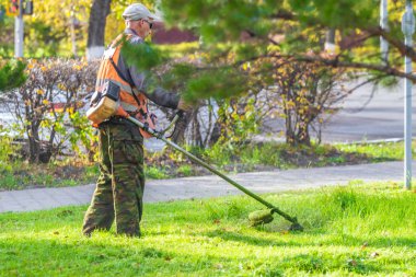 yeşil çim çim biçme