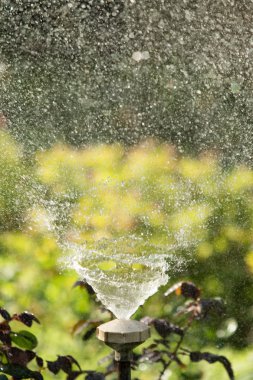 defocused, bulanık su, bokeh doğa damla