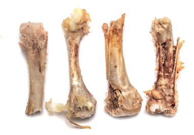 tavuk kemikleri yiyecek yığını