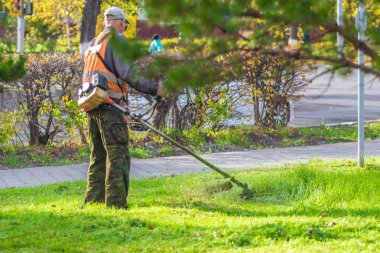 yeşil çim çim biçme