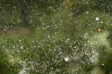 defocused, bulanık su, bokeh doğa damla