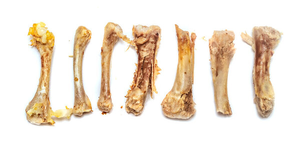 куча еды из куриных костей
