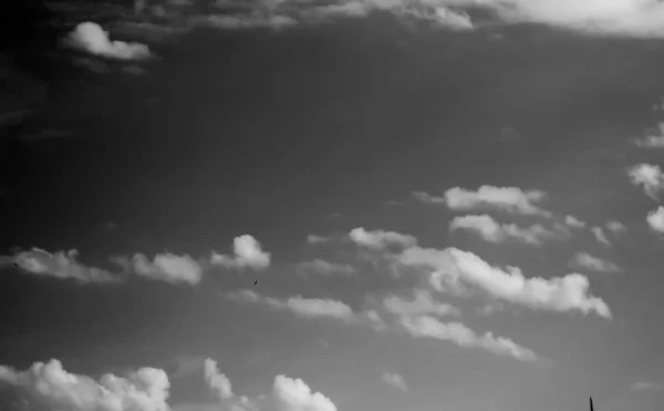 Bílé Mraky Temné Obloze Černobílá — Stock fotografie