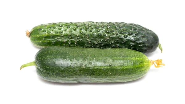 Fresh Green Cucumber White Background — Stock Photo, Image