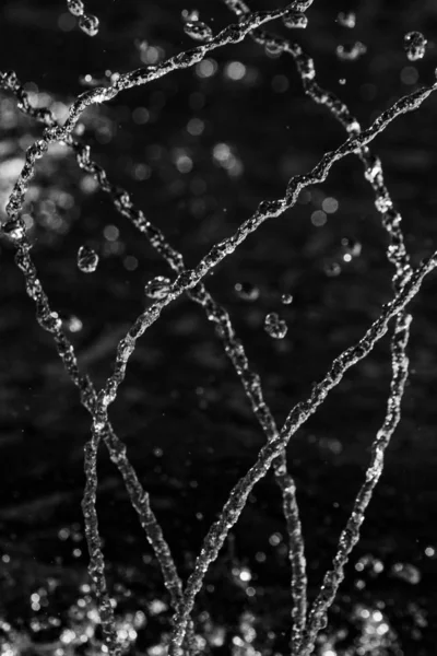 Gotas Água Fundo Bokeh Escuro — Fotografia de Stock