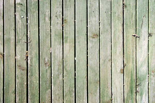 Textura Madeira Pintura Verde Velha — Fotografia de Stock