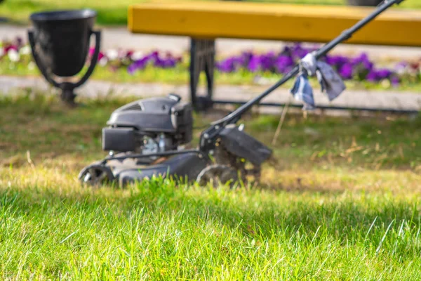 Mowing Green Grass Lawn — Stock Photo, Image