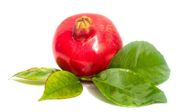 Rött Granatäpple Och Gröna Blad Isolerad Vit Bakgrund — Stockfoto