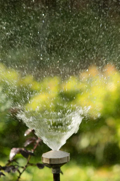 Intreepupil Druppels Spatten Wazig Bokeh Natuur — Stockfoto