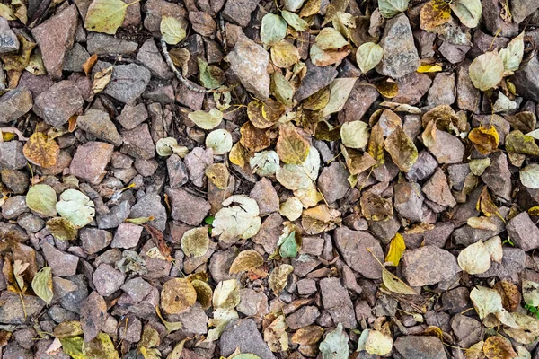 Zobacz Pełną Klatkę Road Kruszony Kamień Drogi — Zdjęcie stockowe