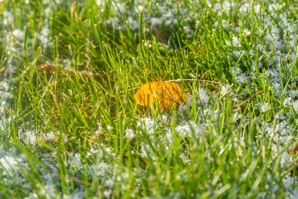 Verde Erba Neve Offuscata Sfondo Bokeh — Foto Stock