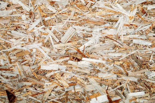 wood panel from chip wood chips