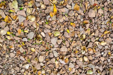 tam kare görünümü yol ezilmiş taş yol