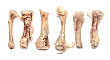 tavuk kemikleri yiyecek yığını