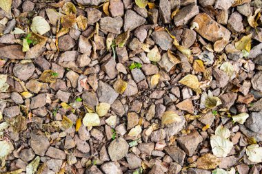 tam kare görünümü yol ezilmiş taş yol