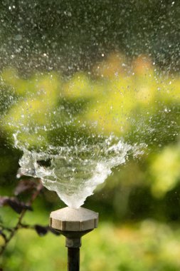 defocused, bulanık su, bokeh doğa damla