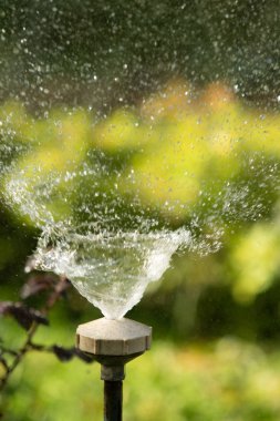 defocused, bulanık su, bokeh doğa damla