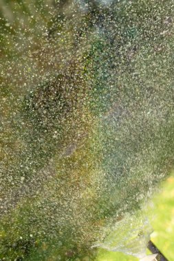 defocused, bulanık su, bokeh doğa damla