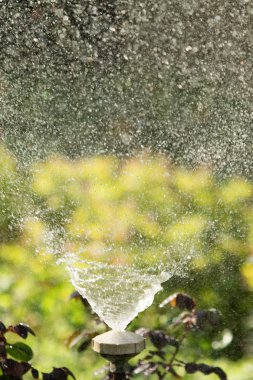 defocused, bulanık su, bokeh doğa damla