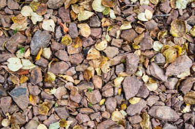 tam kare görünümü yol ezilmiş taş yol